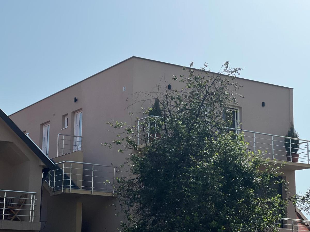 Apartman Scepanovic Niksic Luaran gambar